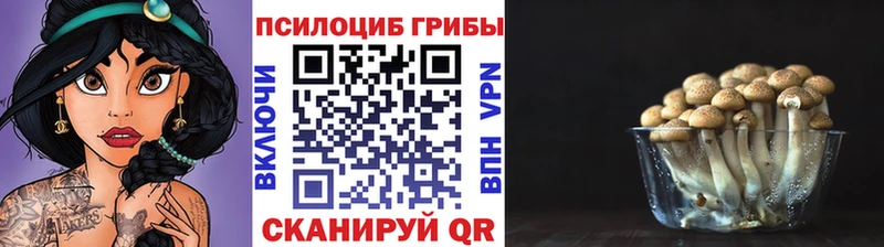 Галлюциногенные грибы ЛСД  Лихославль 
